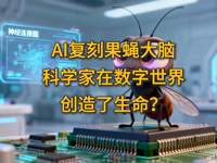 �w��ȤՄ����ʮ���ڣ�AI��(f��)�̹�ω���X���ƌW(xu��)���ڔ�(sh��)�����焓(chu��ng)����������